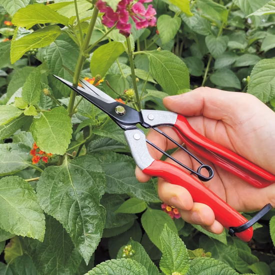 Lange, gerade Nadelnase, Blumen-Gartenschere, Handschere, Blumenschere, Gartenschere, Gartenbau-Werkzeuge