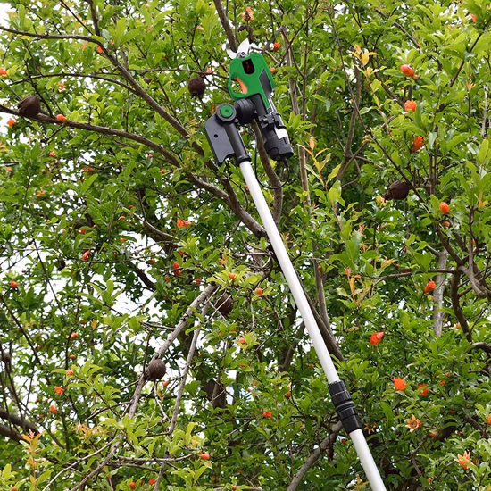 Elektrische, kabellose, wiederaufladbare 21-V-Lithiumbatterie-Gartenschere mit Verlängerungsstange
