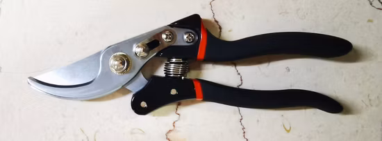 Professionelle Bypass-Gartenschere aus Kohlenstoffstahl mit PVC-Griff zum Beschneiden